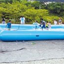 부대동면농장 이미지