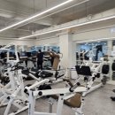 신사 라이크짐 | 체형교정부터 근력까지! 신사 헬스장 신사 라이크짐 1호점 이용 후기