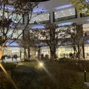 다산현대약국 이미지