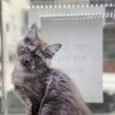 오즈메디칼 이미지