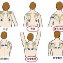 썸머핏(SUMMERFIT) 이미지