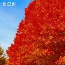 ＜10,13.주일오후예배설교＞ 천국 신부의 자격 이미지