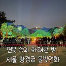 물빛-울림 | [서울 창경궁 물빛연화] 연못에 담기는 화려한 밤