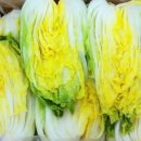 더원 영농조합법인