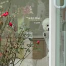 하이몽몽 이미지