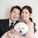 케이트웨딩플랜