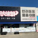 야옹아멍멍해봐 김포운양점 네이버블로그