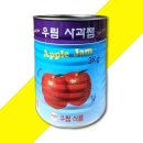 우림과일