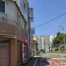 삼계돈 | 강아지 스트레스 적었던 삼계애견미용 후기
