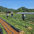 (주)동방아그로