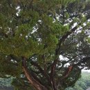 은해로운 캠핑장 이미지