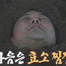 더쉼효소 이미지