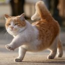 한마음자동차공업사 이미지