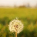 약사전약수터 이미지