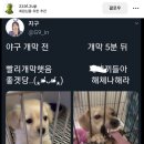 친환경림 | 일상 4/1~4/30