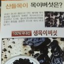 생목농장 이미지