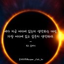 빈스피쉬 이미지