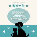 안녕, 멍냥 이미지