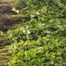 선학초등학교 이미지