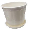 다올피엔씨 이미지