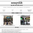 대만 예스폭지 내돈내산 고고 버스 투어 후기