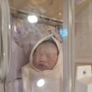 시온여성병원 | 시온여성병원 제왕절개 당일 후기