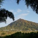 김수곤농장 이미지