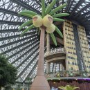 영그린유치원 | 제주 여미지식물원 무료 입장 제주도 포켓몬 스탬프 랠리 인증 선물