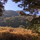 정대농장 이미지