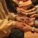 코끼리들이 웃는다 이미지