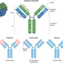 아이엠바이오 이미지