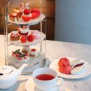 아난티 앳 부산 코브 호텔 이미지