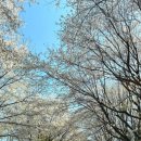 청량1리 마을회관 이미지