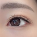 블랙스완디자인