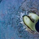 웰컴레인 이미지