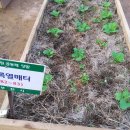 초록열매터