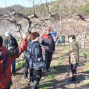 낙평주유소 네이버블로그