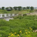 라온 궁 이미지