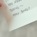 퍼피가든 이미지