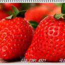 곡성 신기 이미지