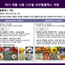 현바디 - 통영시 | 현바디