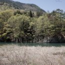 세븐일레븐(밀양표충사점) 이미지