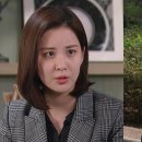 회도둑 이미지