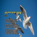 24&#39;[계간4호 cafe_글벗] 시 / 김금엽 [은빛 바다위 왈츠를] 이미지