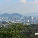 팔각정 공원 이미지