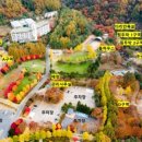 다리안캠핑장 이미지