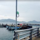 한라민박 이미지