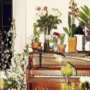 Emile Haynie-Falling Apart (Live From Chateau Marmont) 이미지