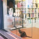 김태희 남성컷트 | 동그랗고 네모난 창