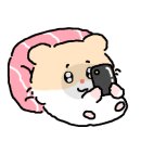 핏메드 이미지